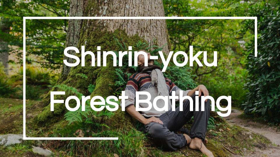 Forest Bathing Frameless Meditation